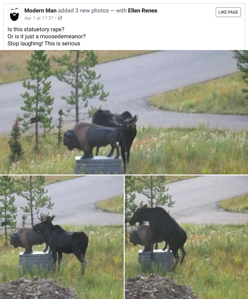 396.jpeg