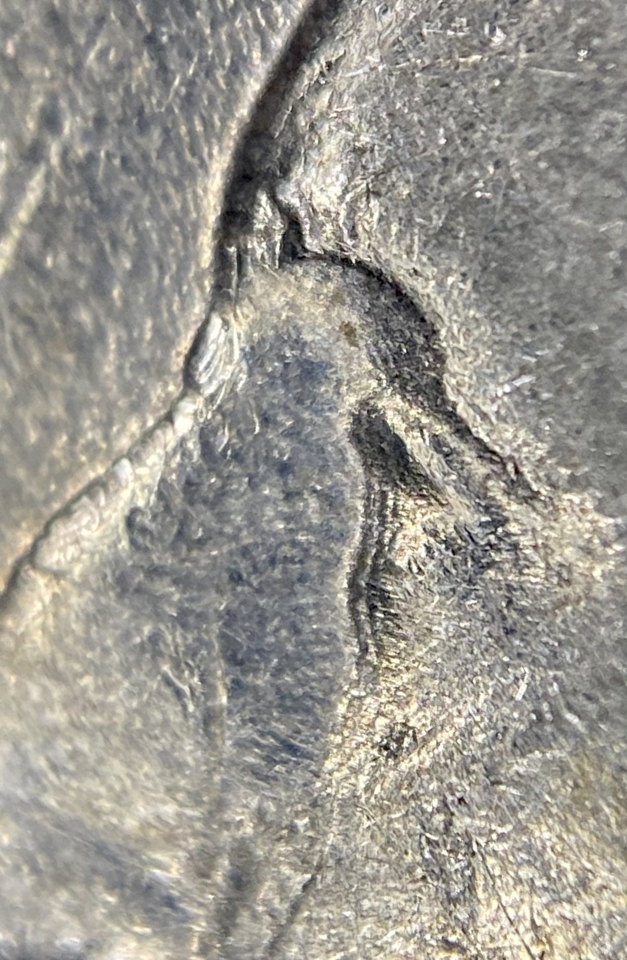 39663C60-1D0E-461E-A8F4-ADE20EE55974.jpeg