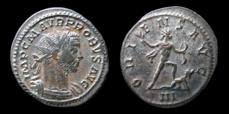 398215.l.jpg