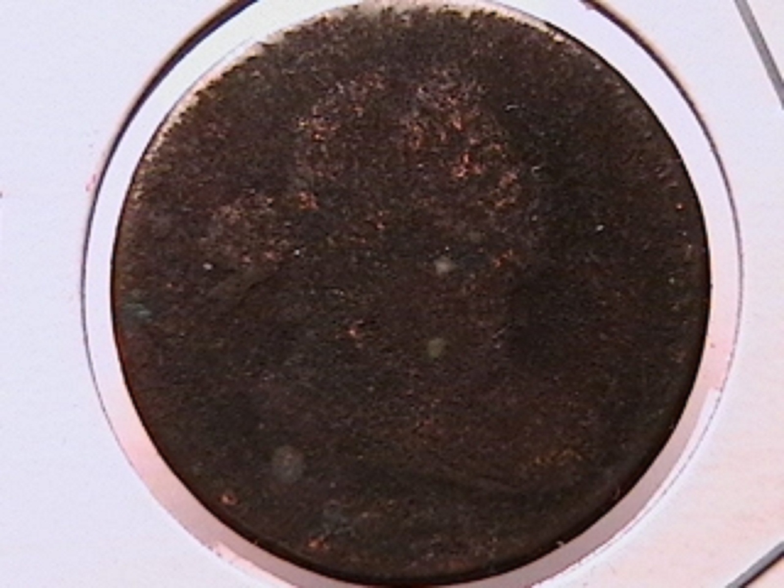 3b.jpg