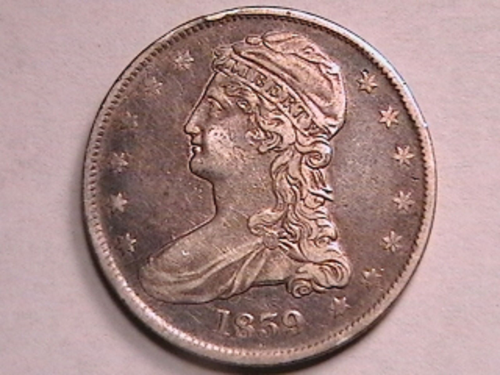 3b.jpg