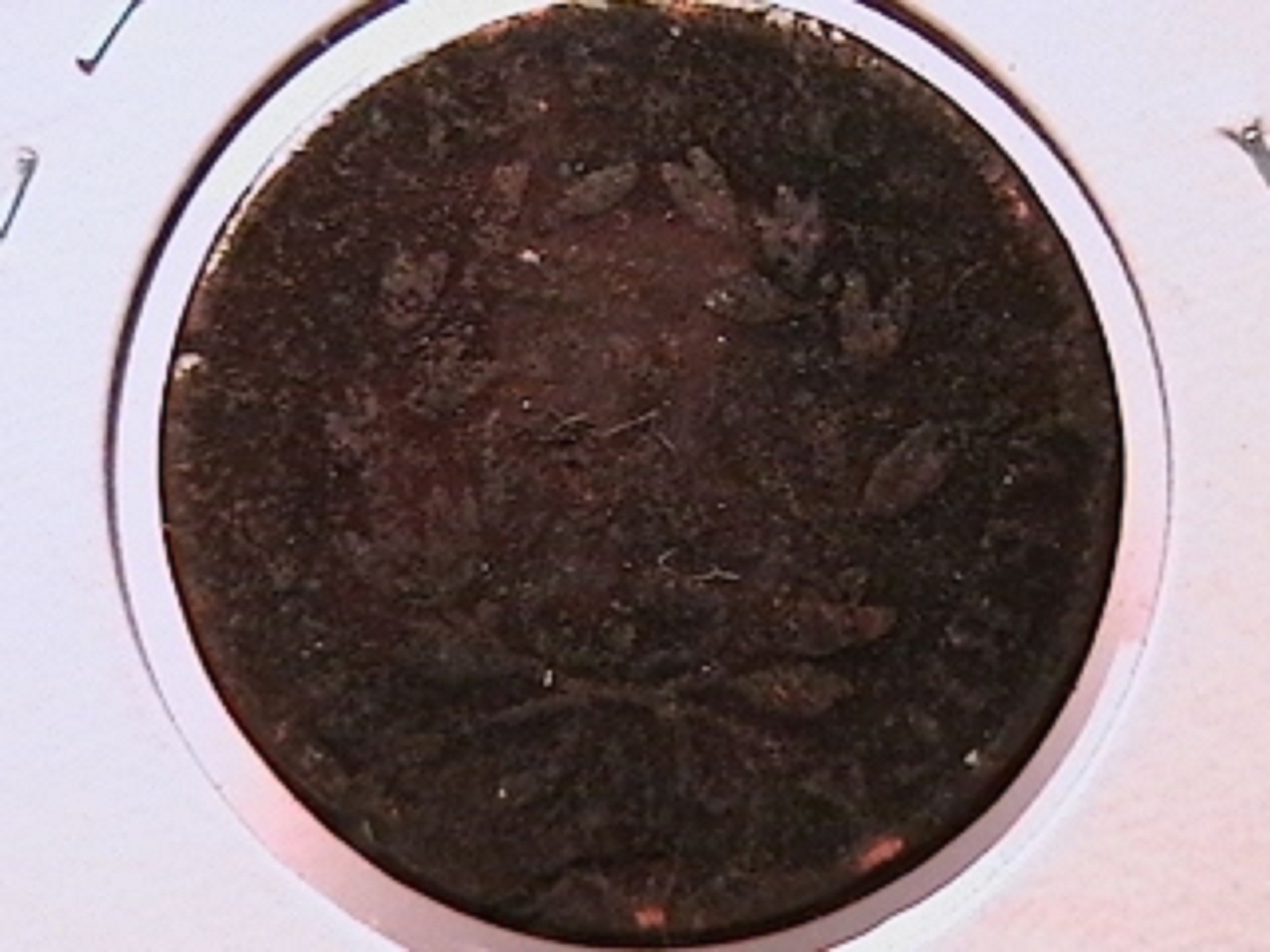 3c.jpg