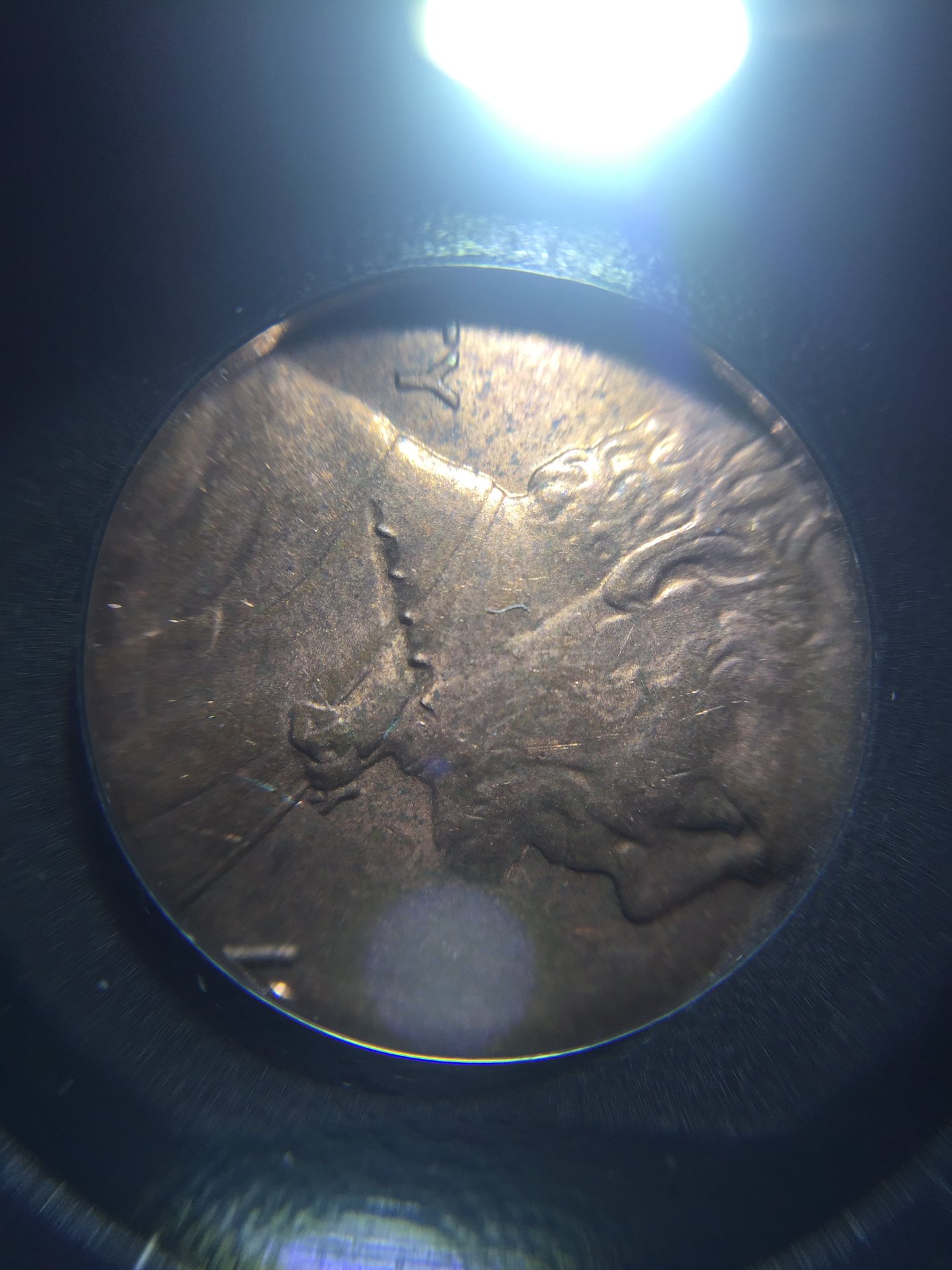 3C071200-AA4D-4864-BEEC-66CEC834E6BB.jpeg