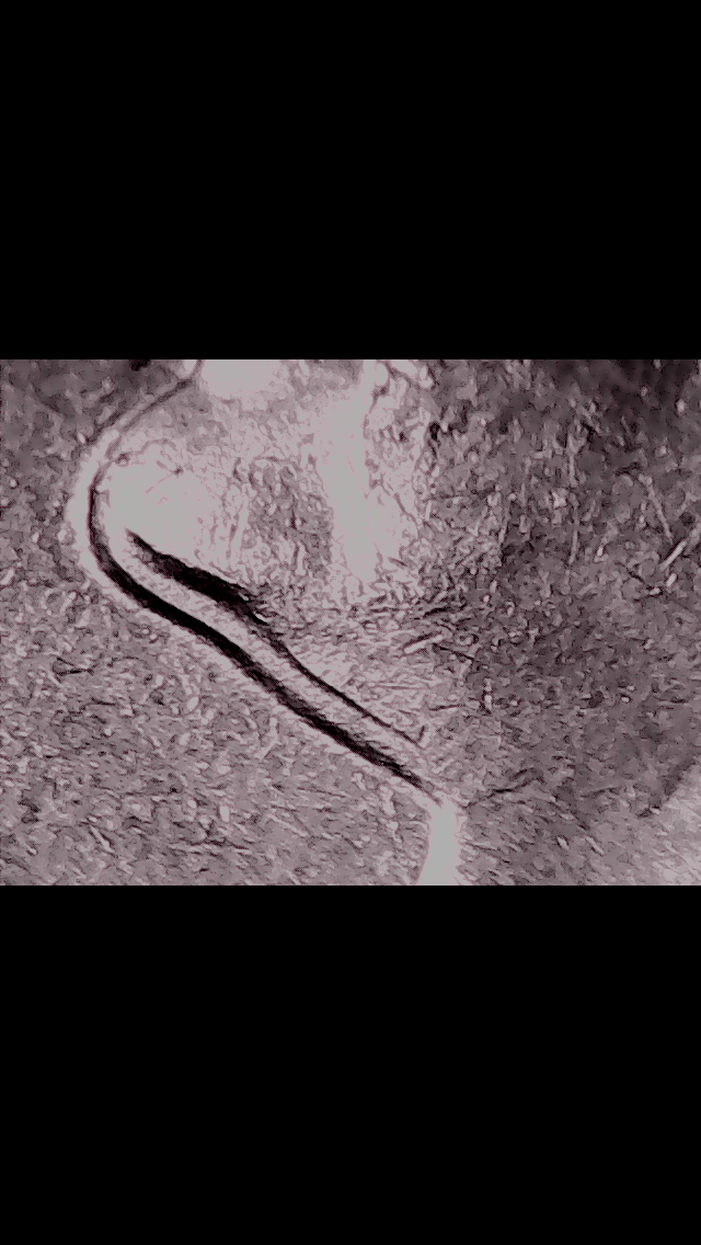 3C14016E-6102-43D9-8CFE-38D6210BD898.png