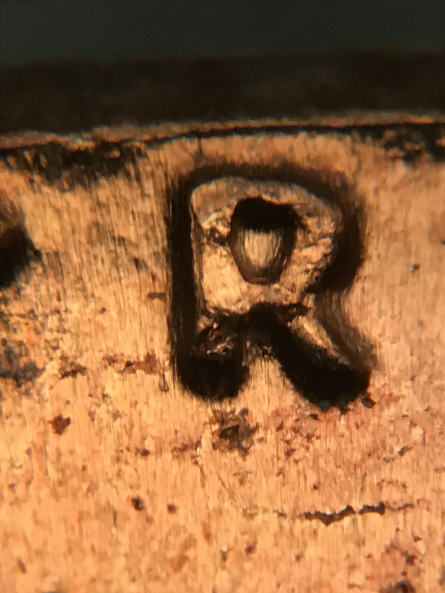 3C1C4BD6-C088-45AC-BF1B-26ECCC296207.jpeg