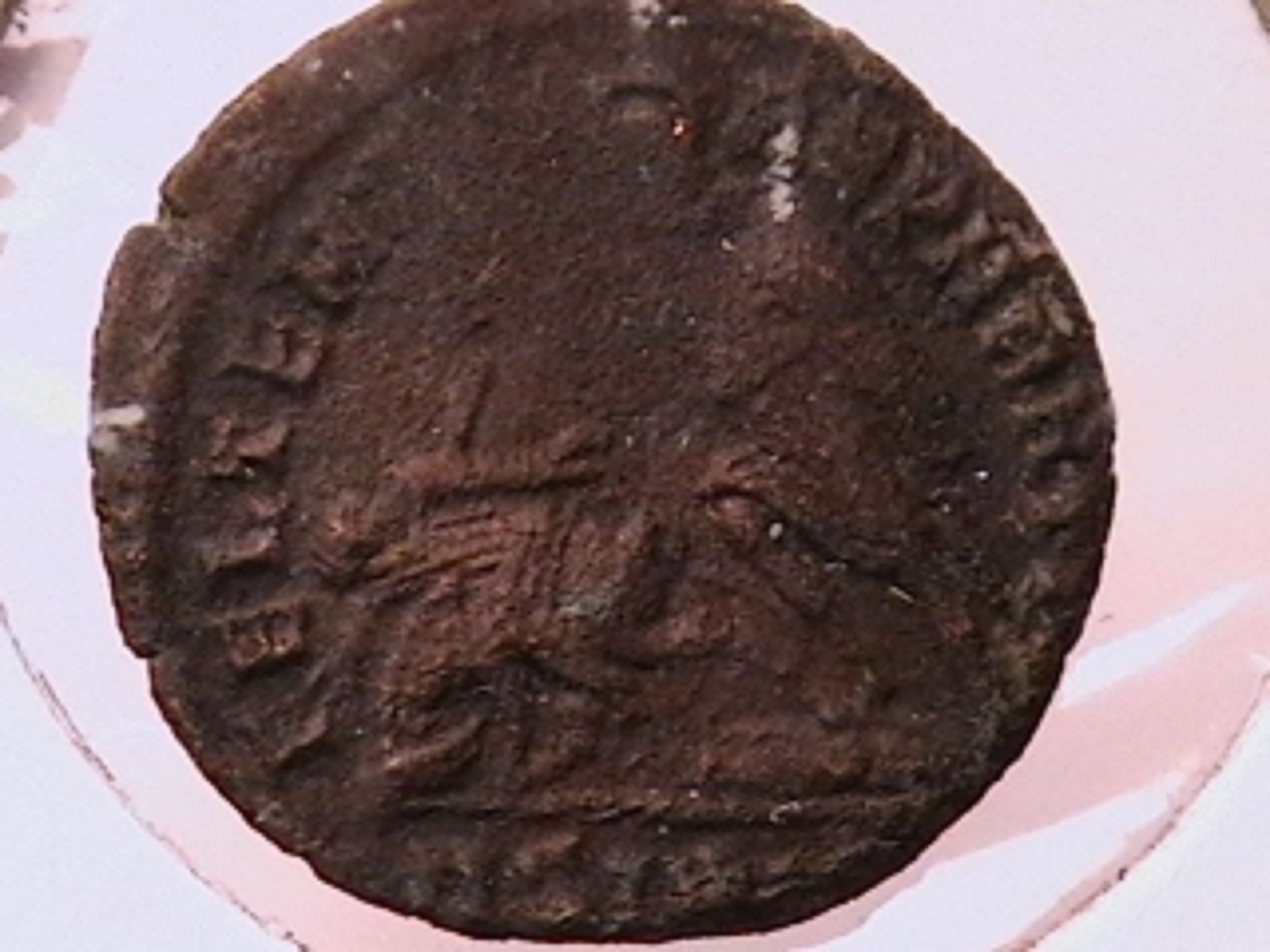 3e2.jpg