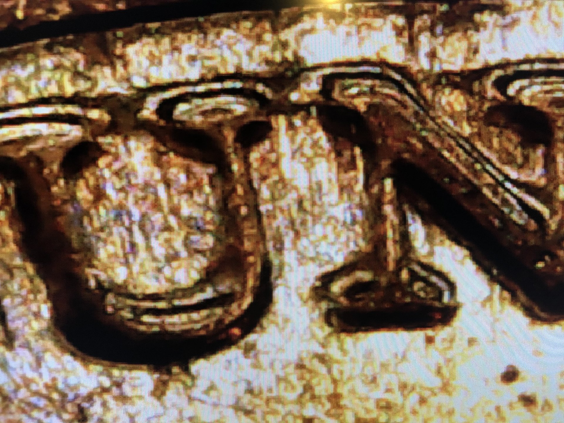 3E6164C2-9DD6-4115-AA9B-B22DCA293F1C.jpeg