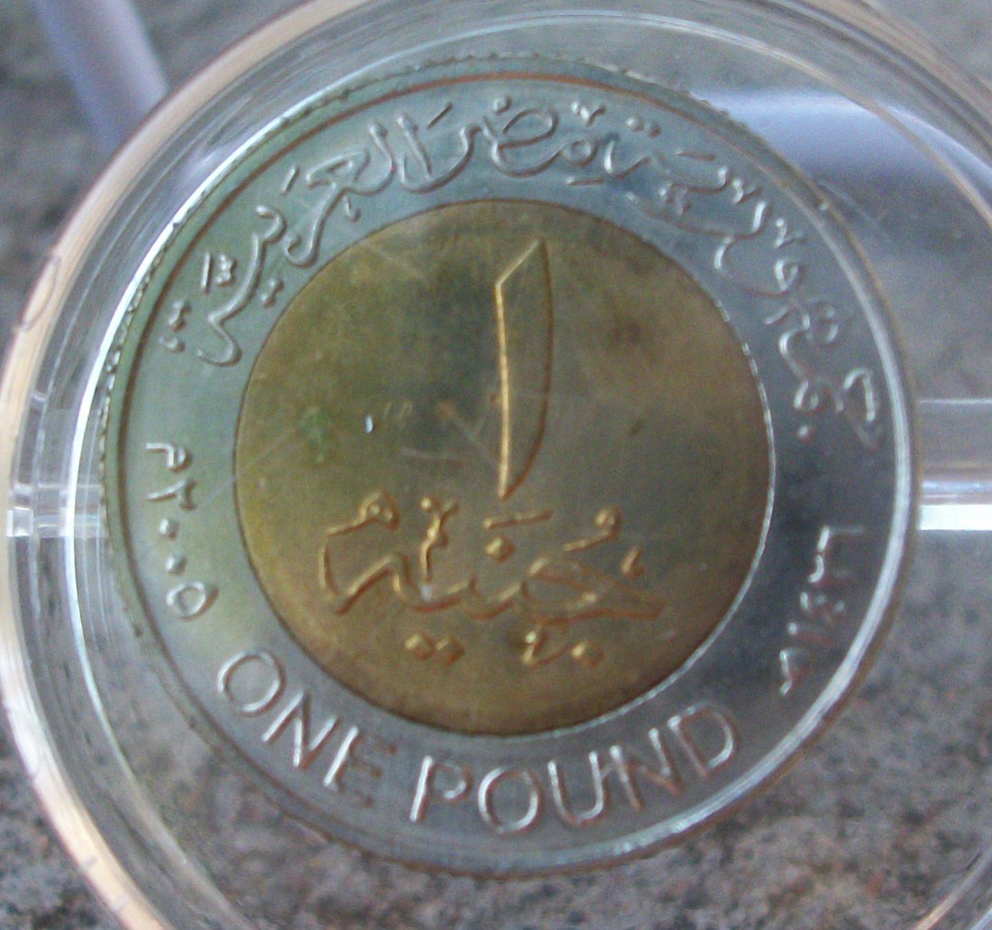 4-22-13 096B.jpg