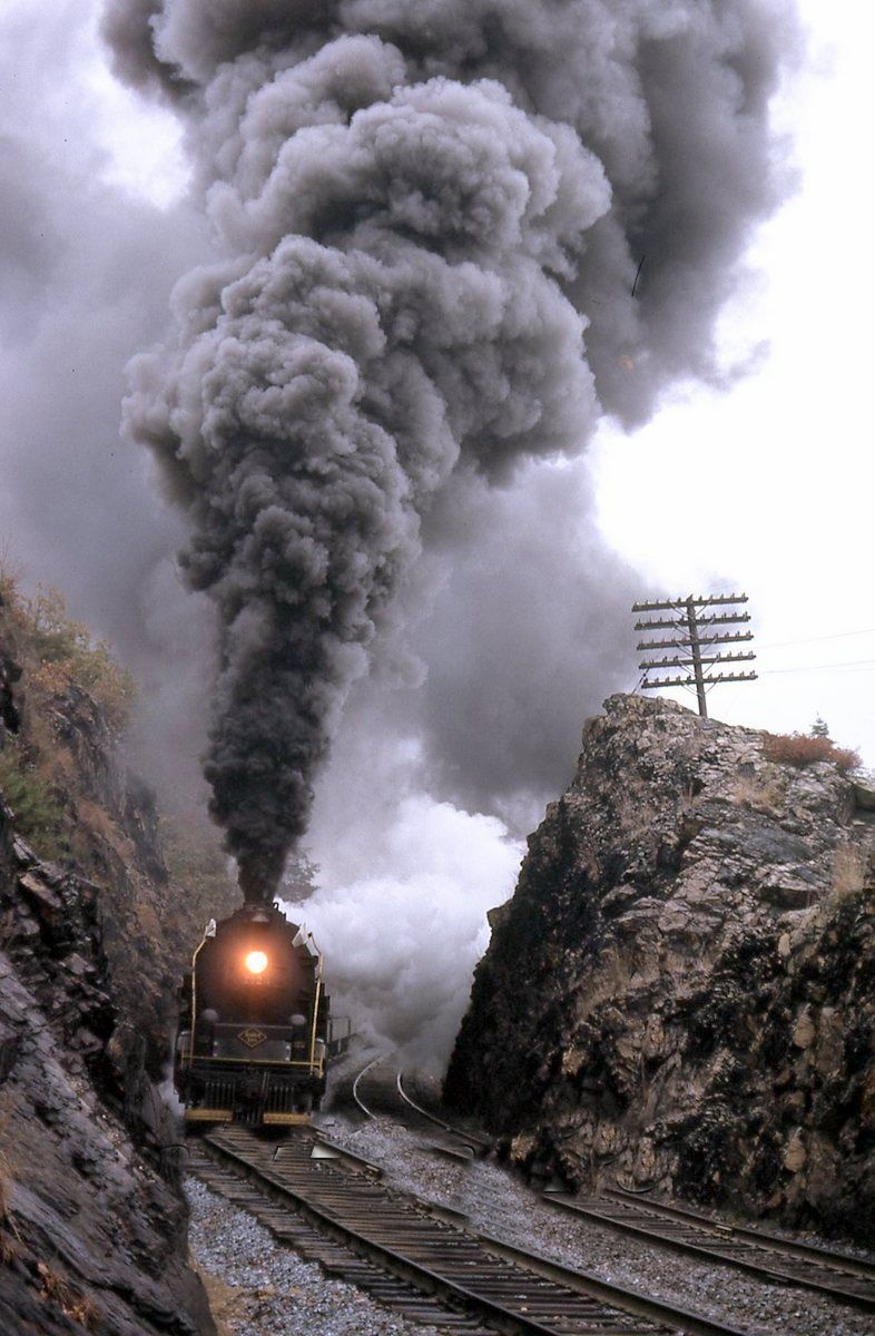 4-8-4 ACTIONv.jpg