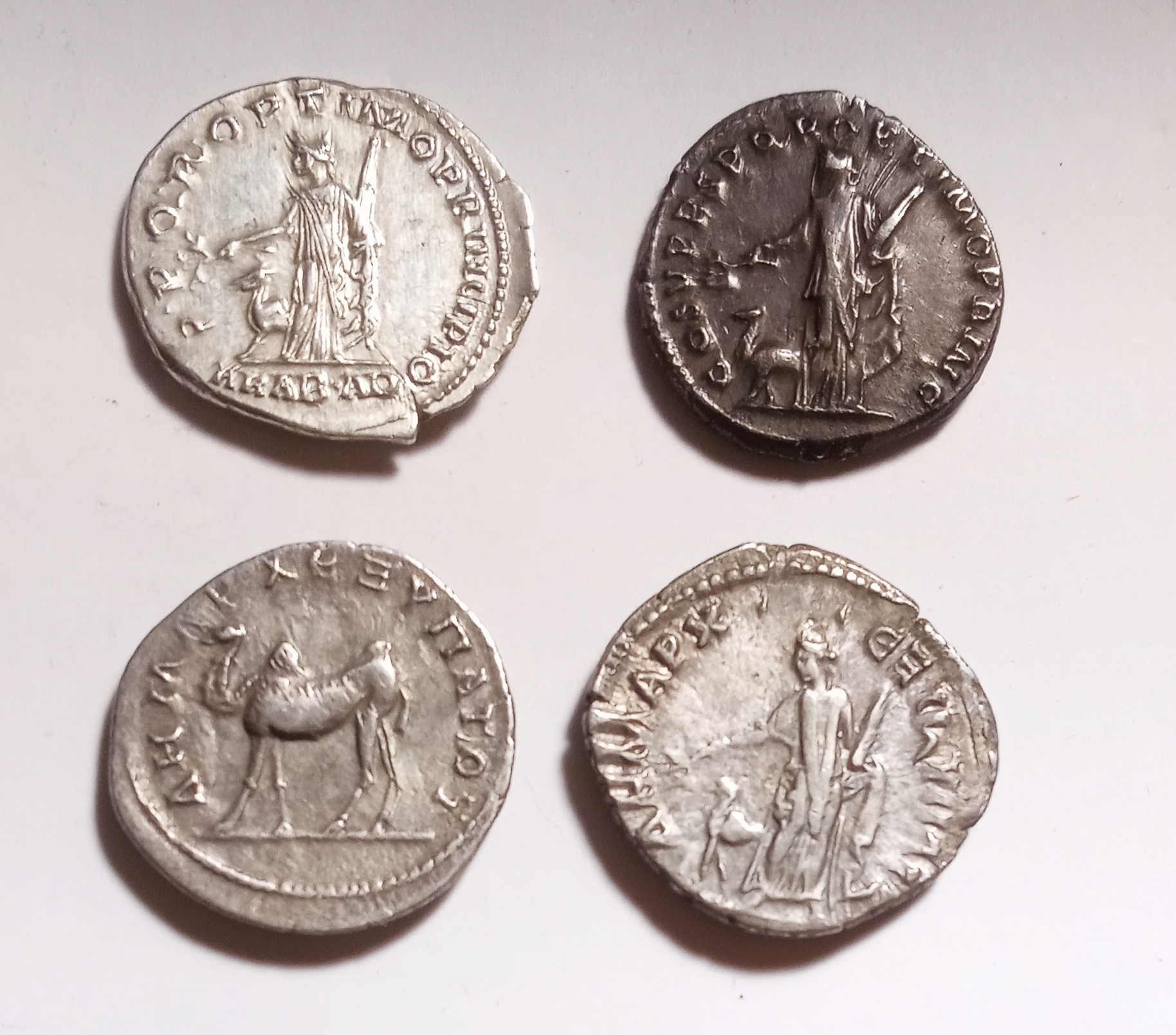 4 Arabia coins rev 2.jpg
