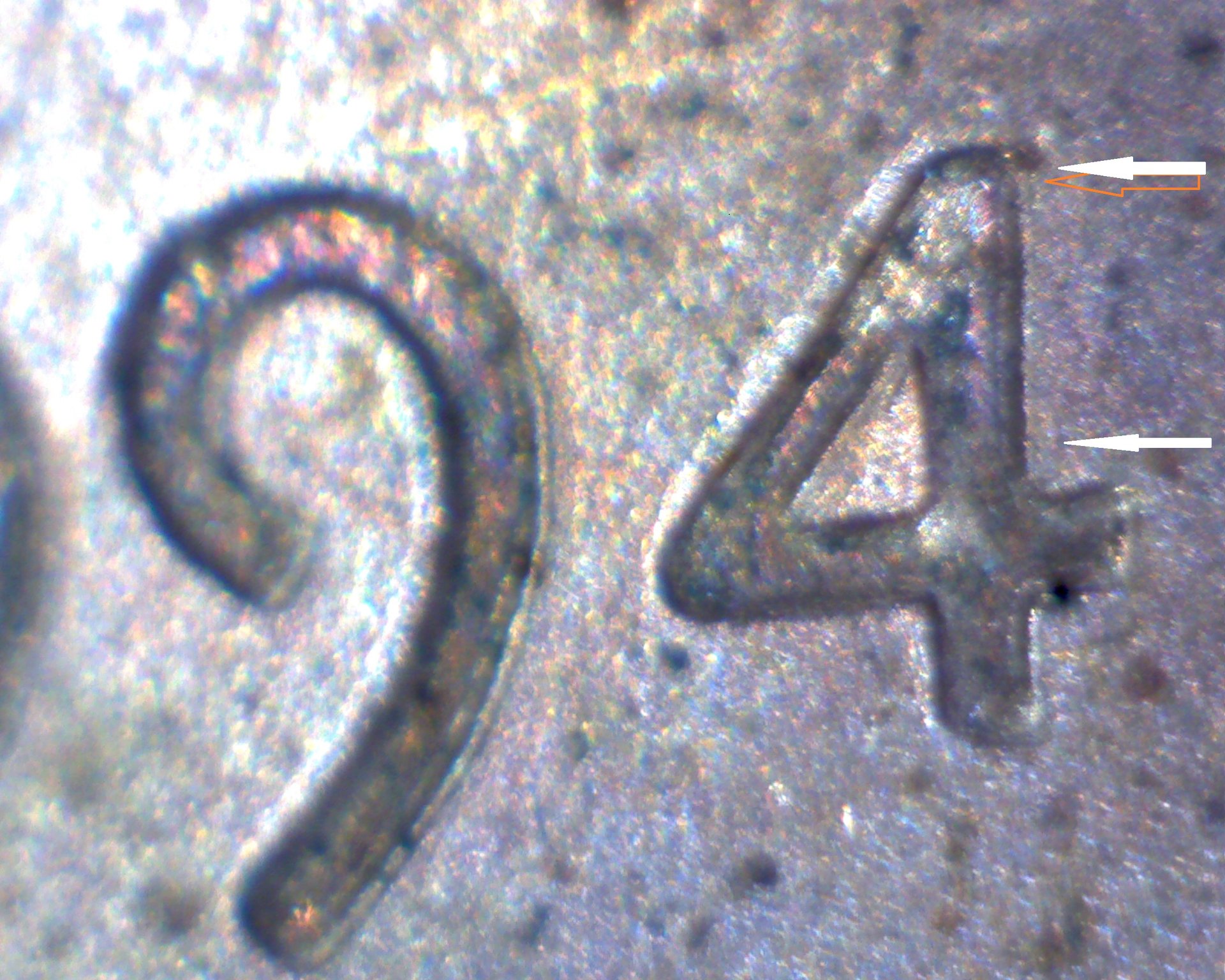 4 of 94.jpg