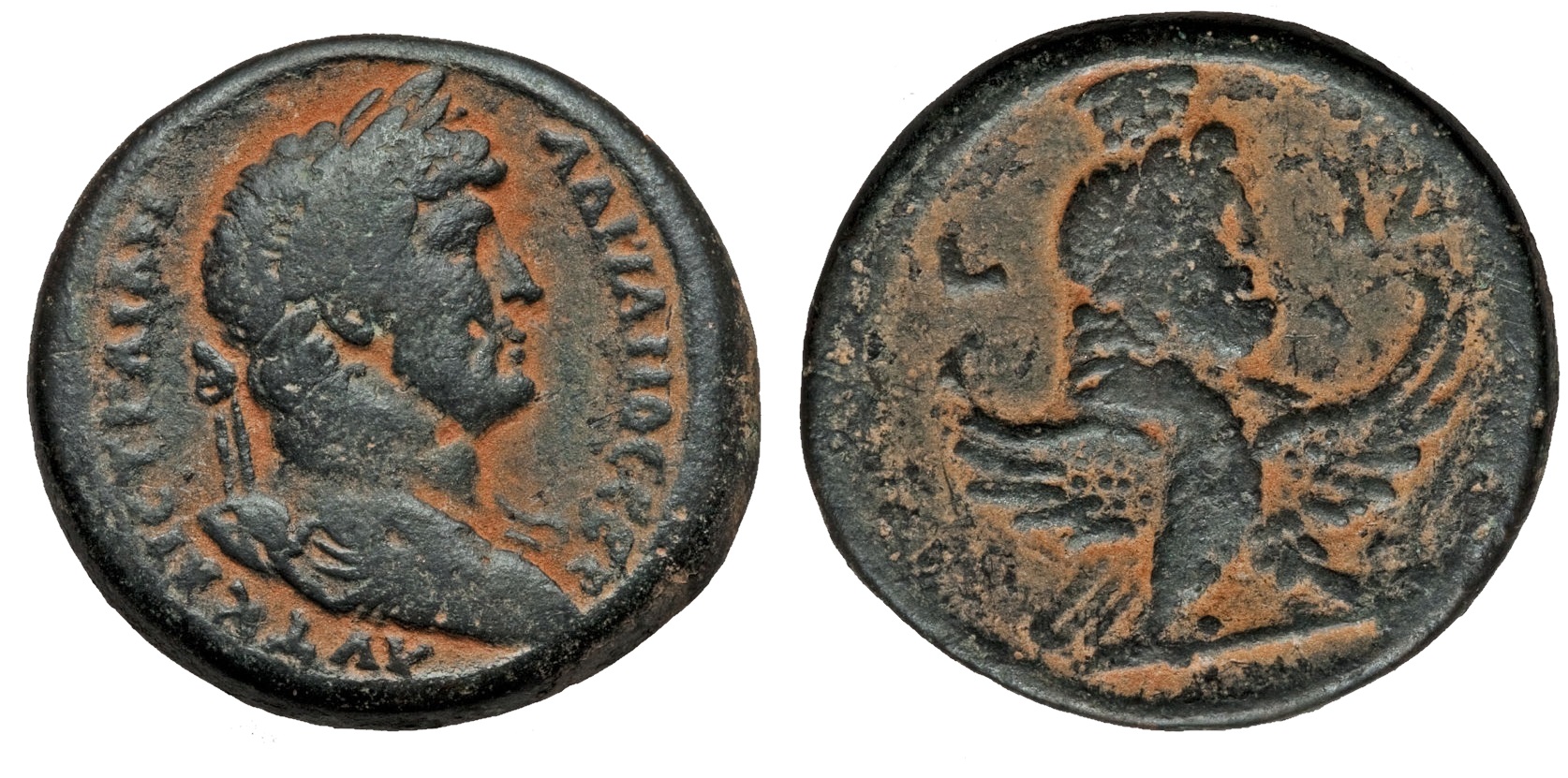 404 P Hadrian Emmett1026.jpg