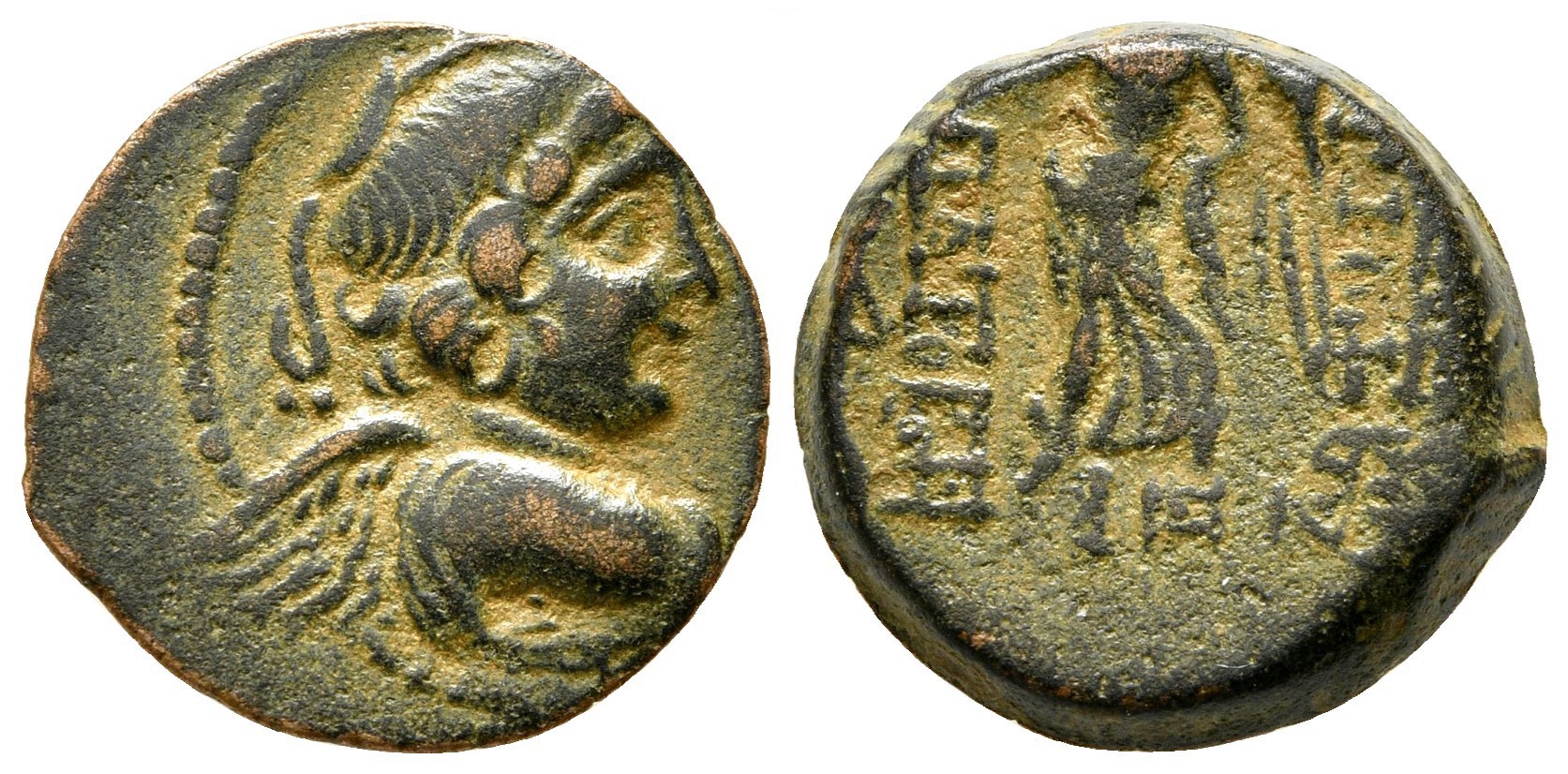 409852.jpg