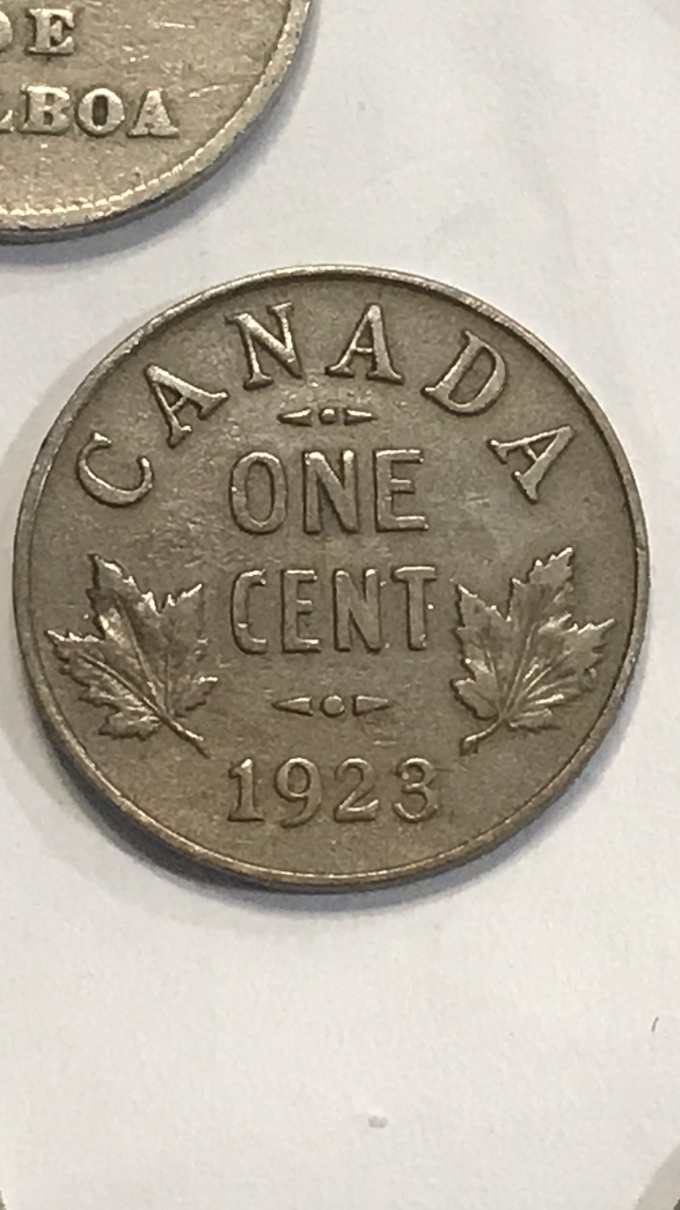 409FFCC8-EC64-49B0-BCF2-27255CC04E9F.png