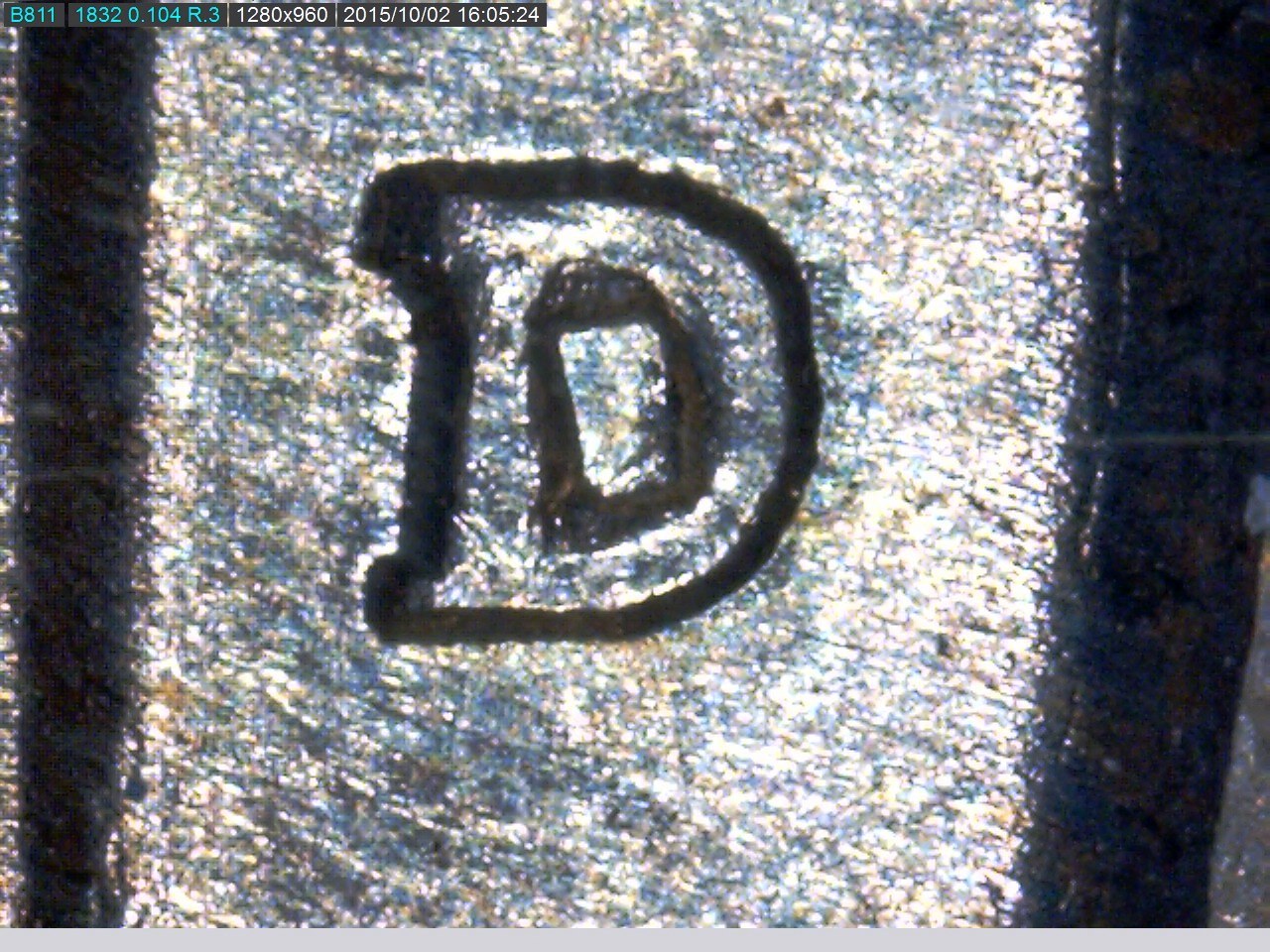 41 D.jpg