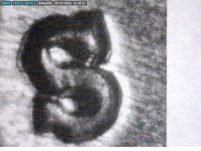41 S inverted S MM.jpg