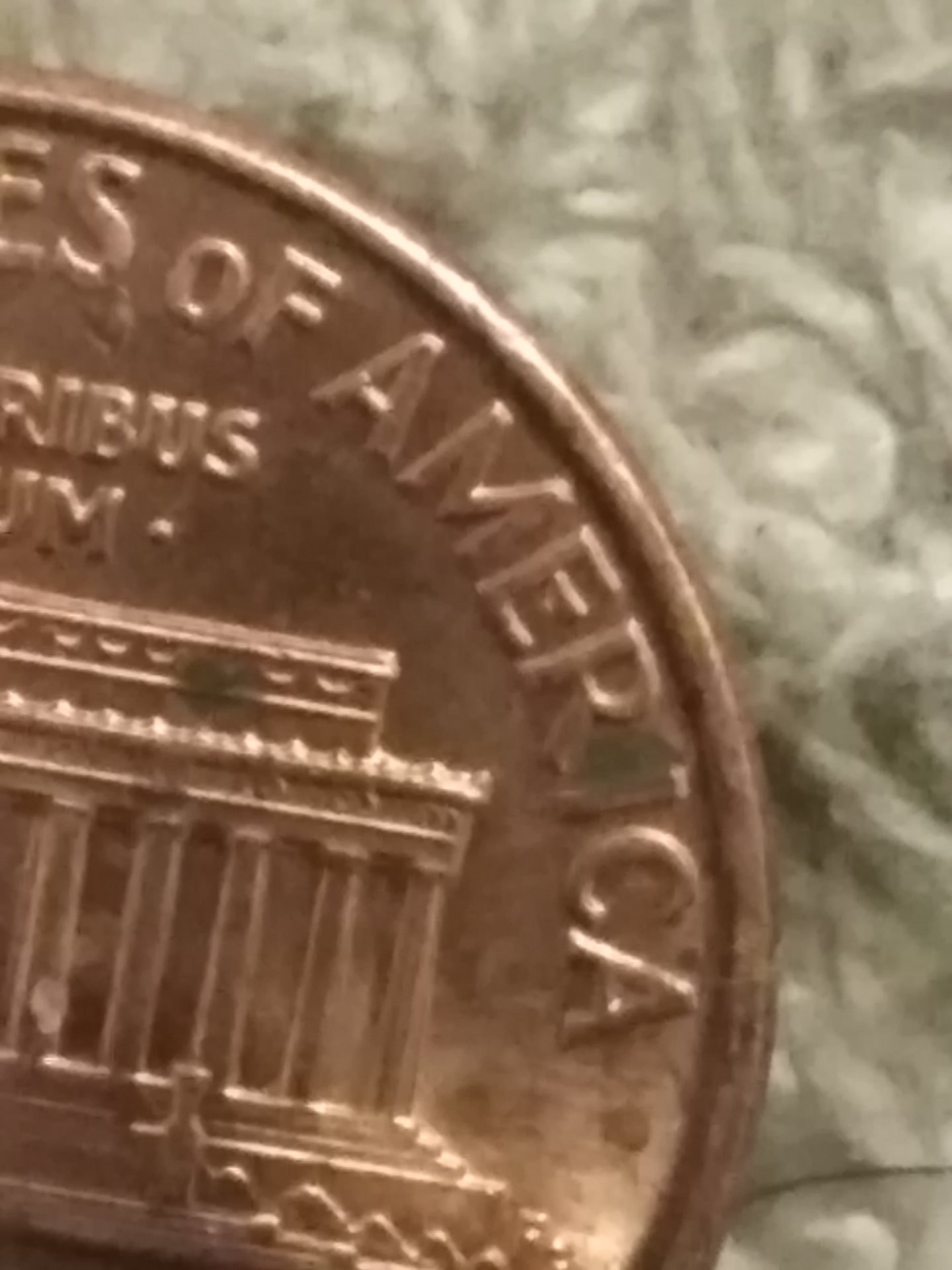 4123314E-2049-426C-A3D7-85D3B57B3739.jpeg