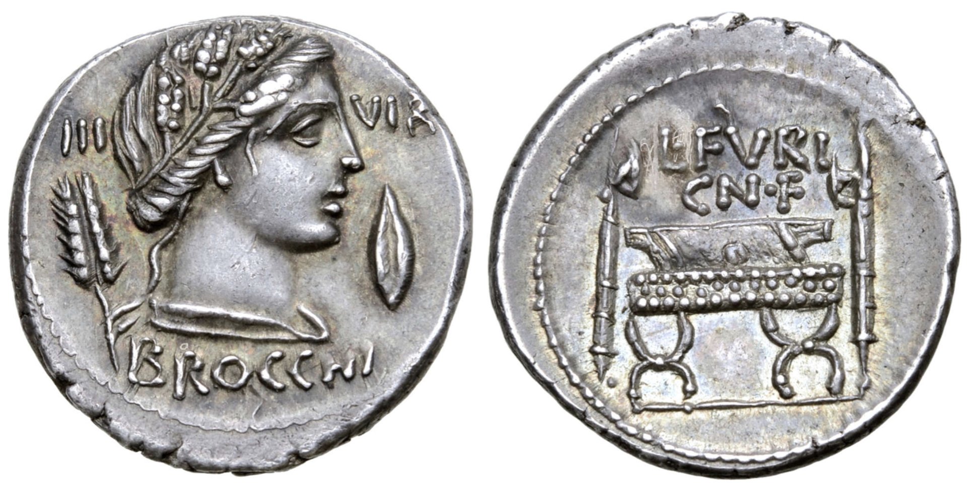 414-1-4.00g-Roma Photo.jpg