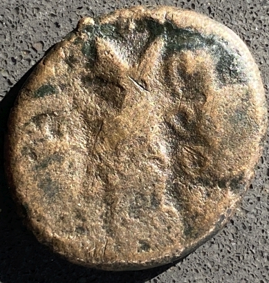 4153b.jpg