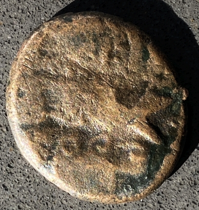 4153c.jpg