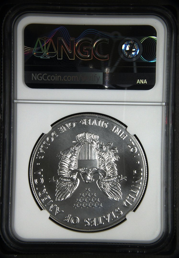 4170599_Full_Rev.jpg