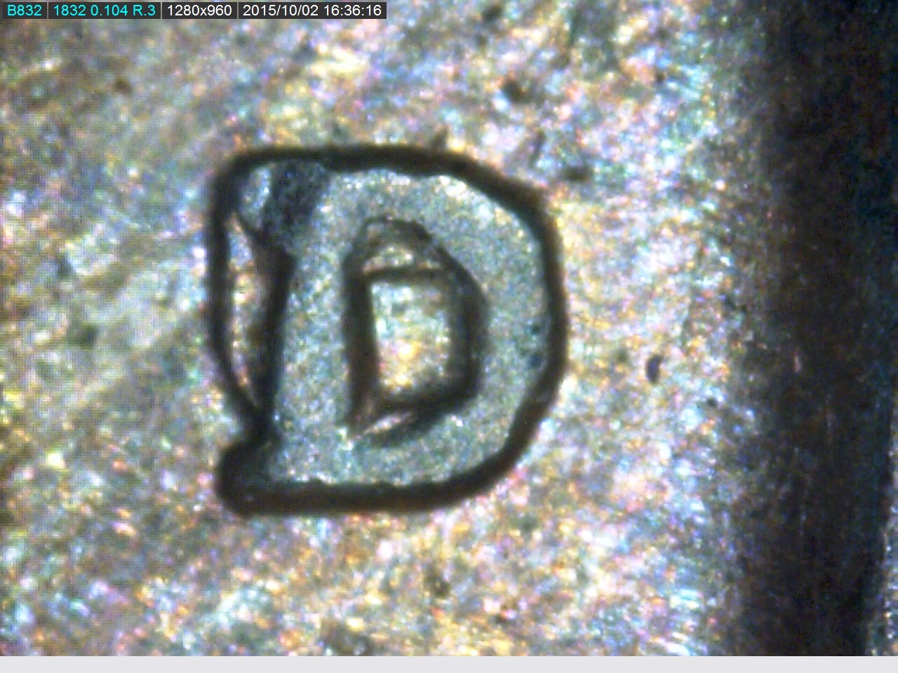42 d-DH.jpg