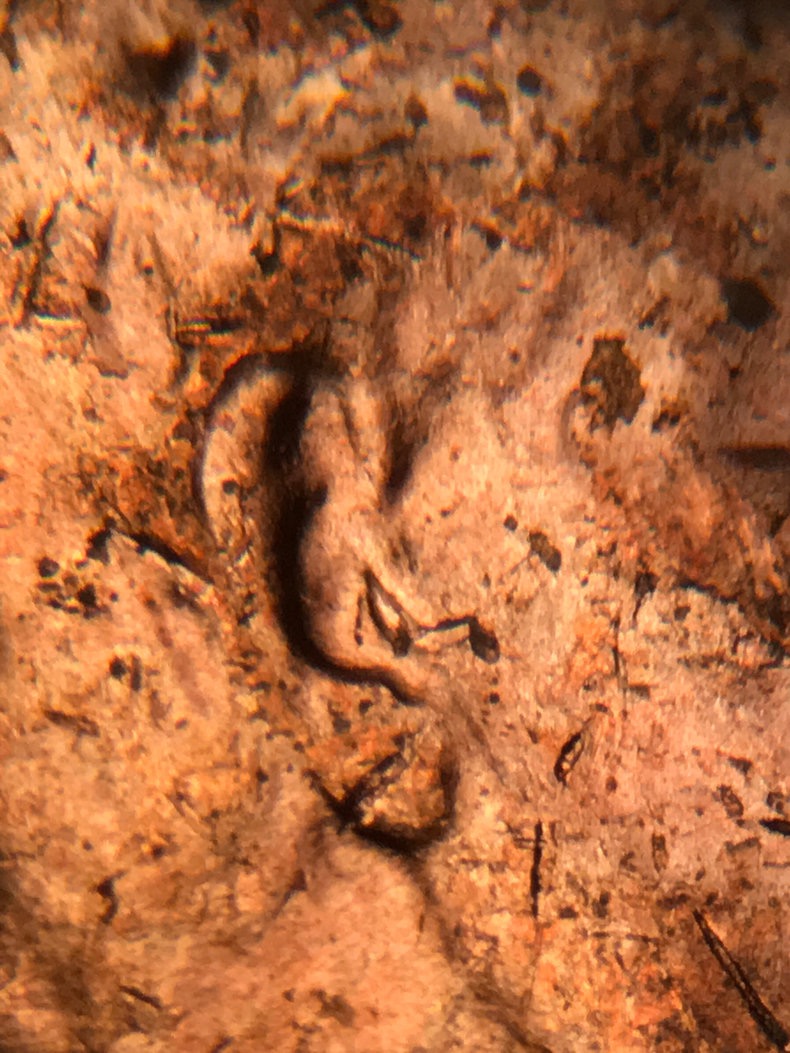 42035164-D8ED-4D49-A018-43043249CE0C.jpeg