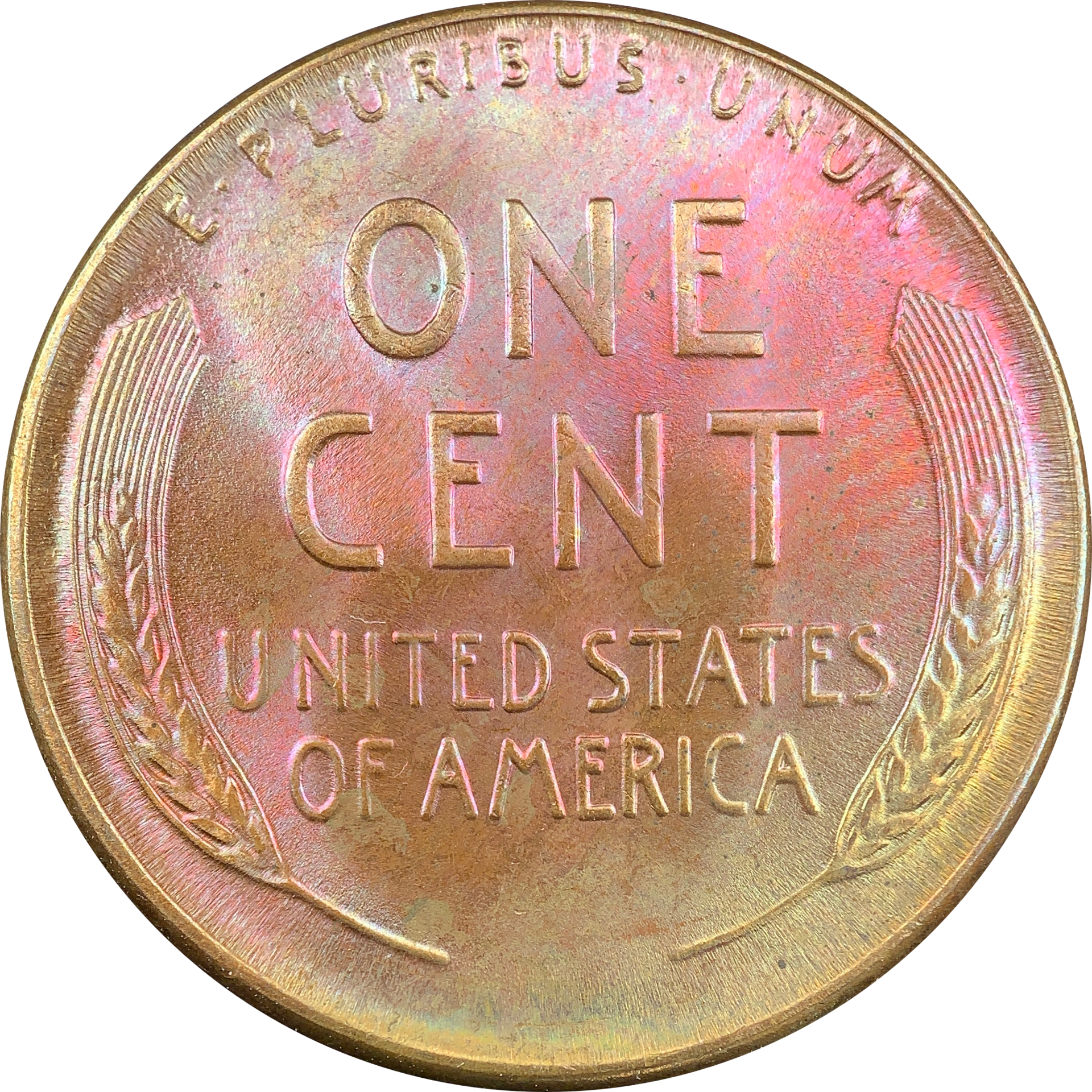 4232D7E5-D639-4D0D-A9D8-545C0923FDBF.png
