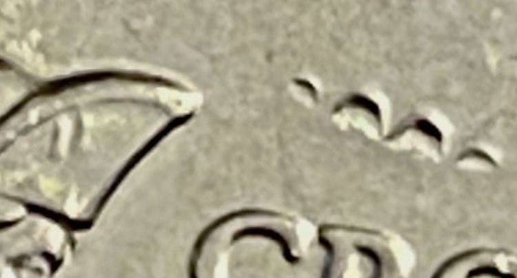 4265EEE2-830B-4916-94BB-792B3E773865.jpeg