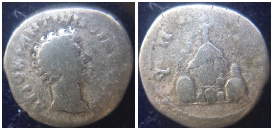 4297 4298.jpg