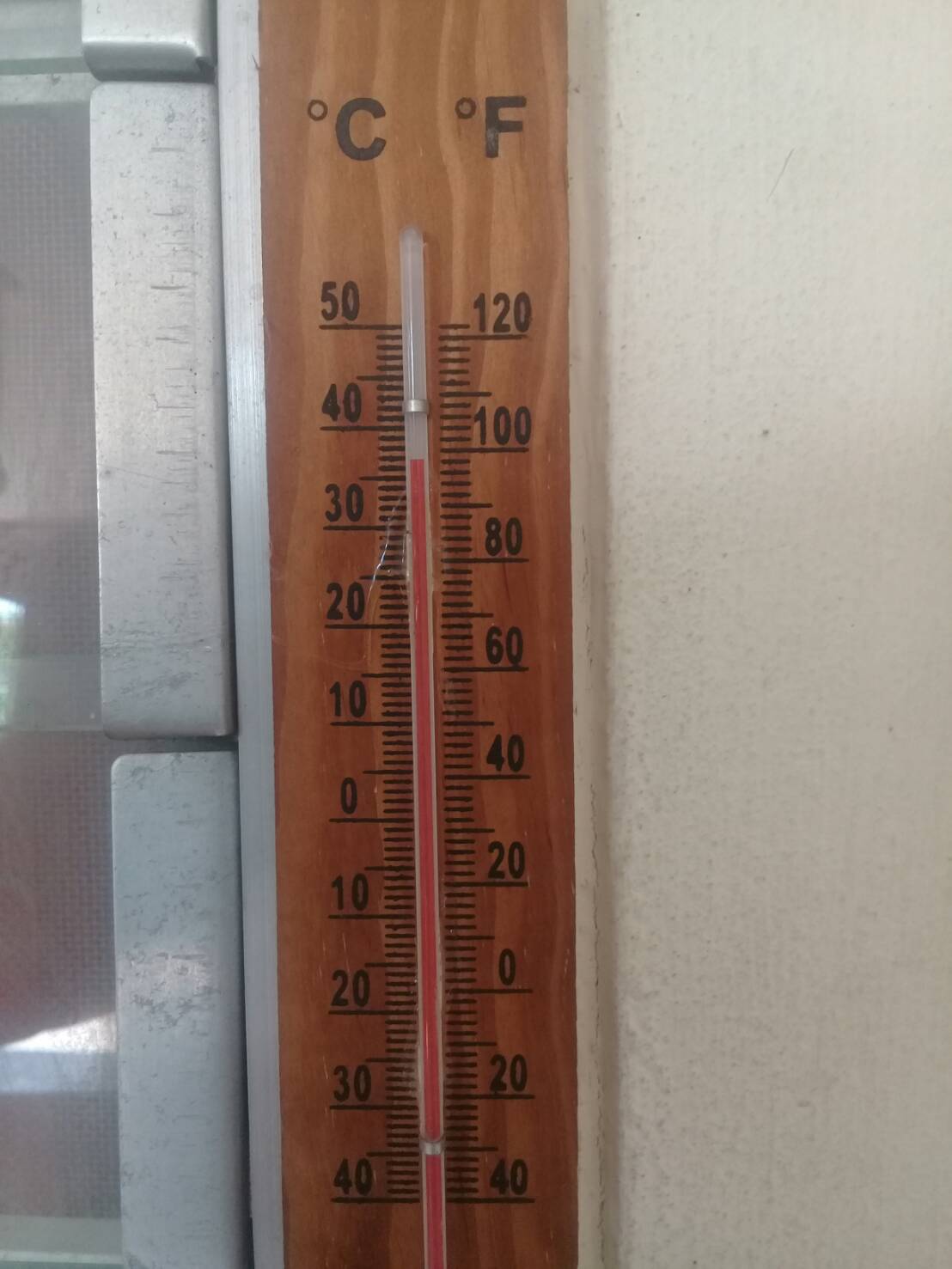 43100.jpg