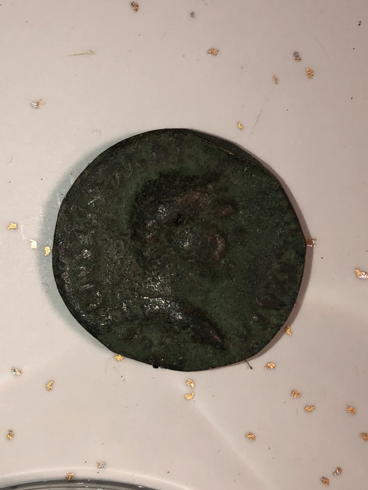 4316CE45-3FBF-40AD-989E-CA1CBA84A46C.jpeg