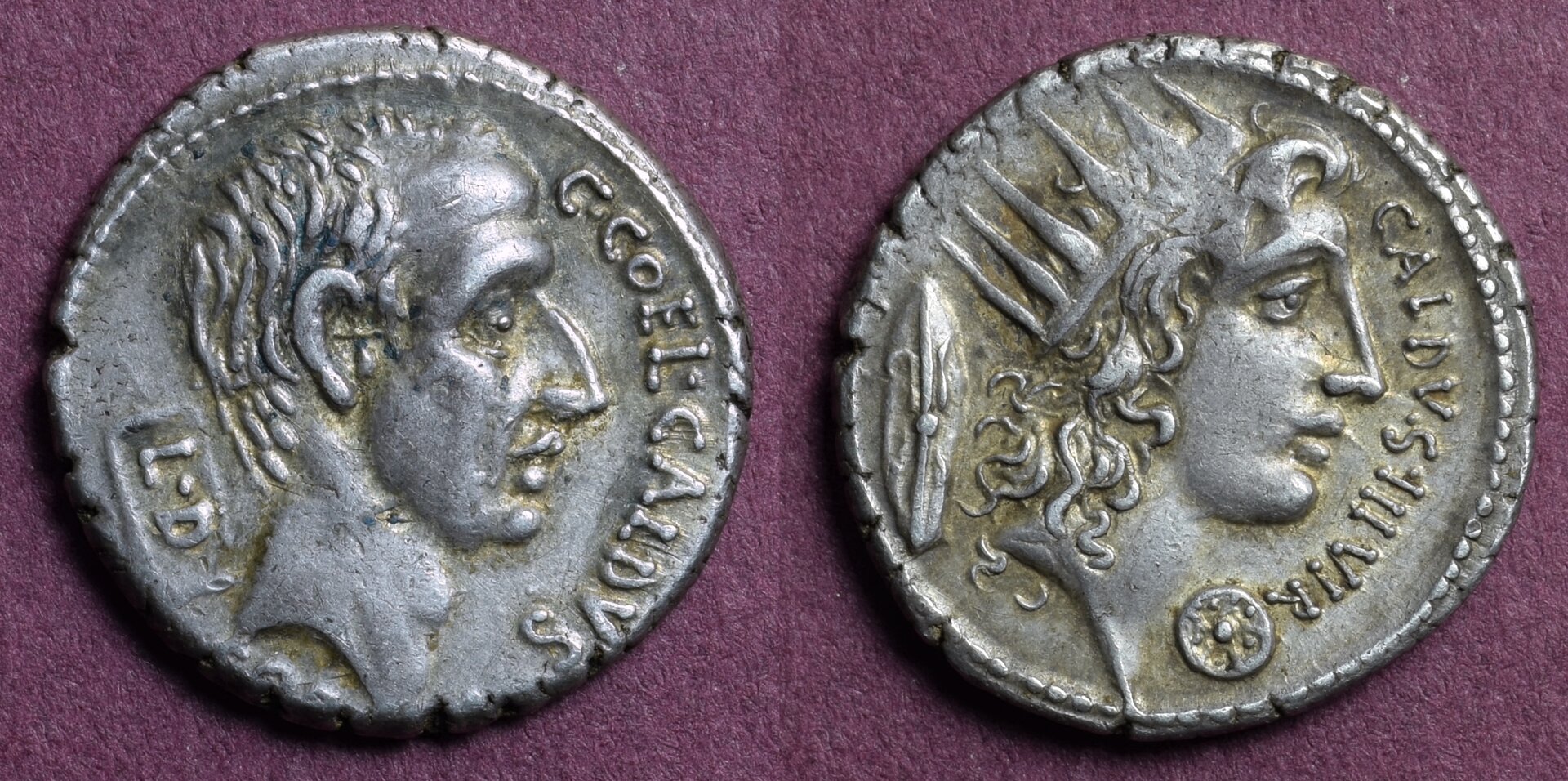 437-1a C.Coelius Caldus - mag.jpeg