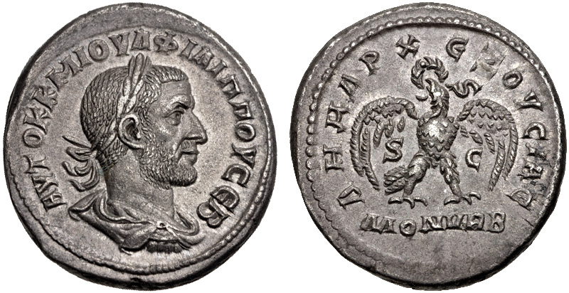 4390320.jpg