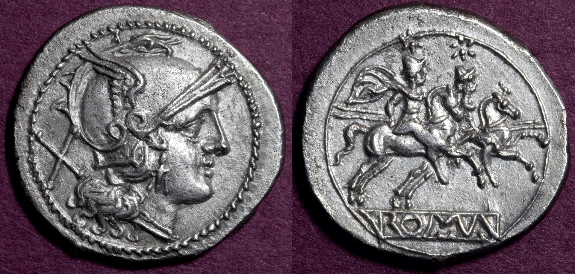 44-5-G2-Dot-Roma.jpg