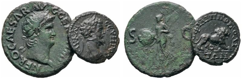 4413767.jpg
