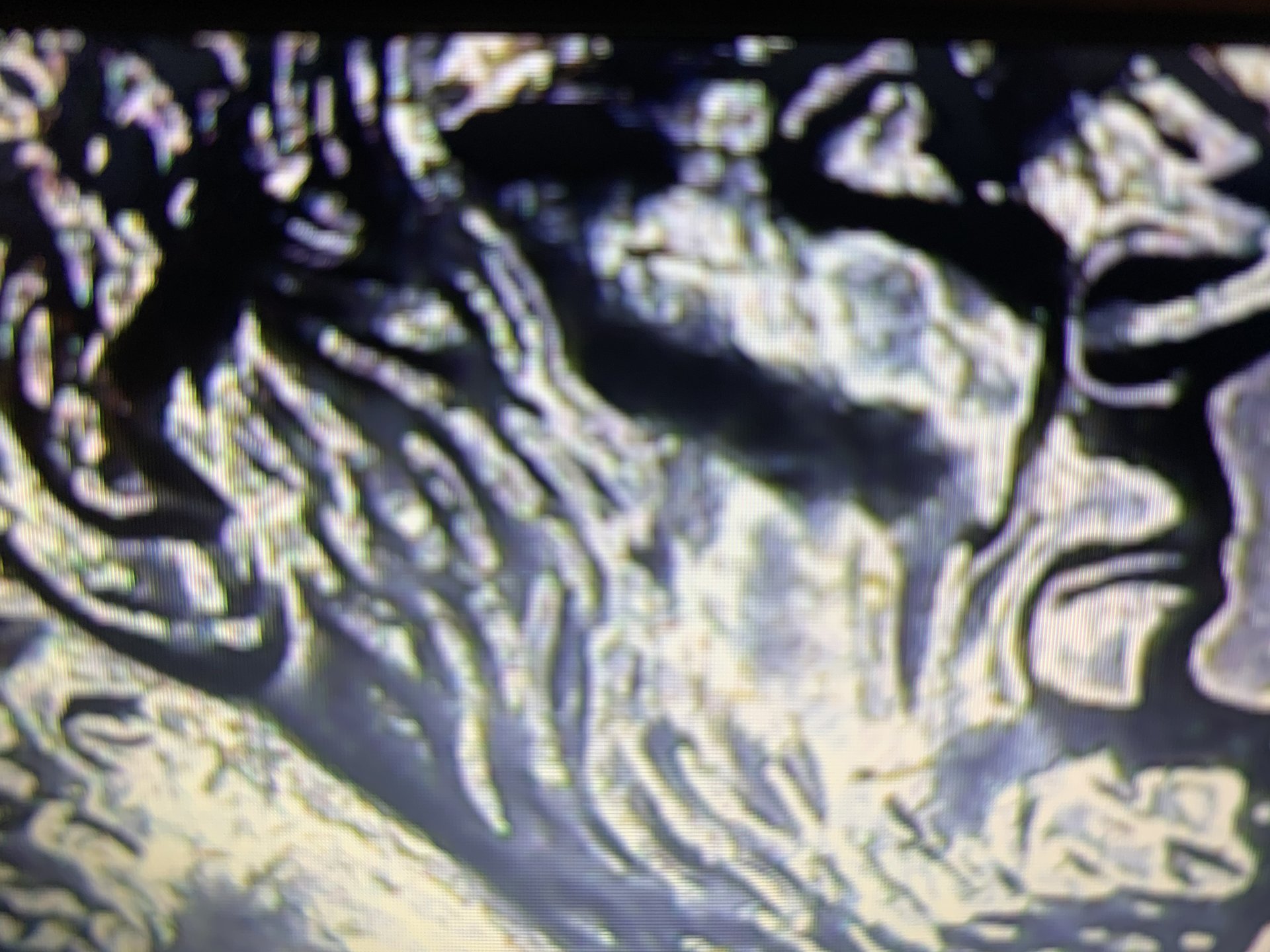 444081D2-D23C-4908-8BAD-3EE946C6AE63.jpeg