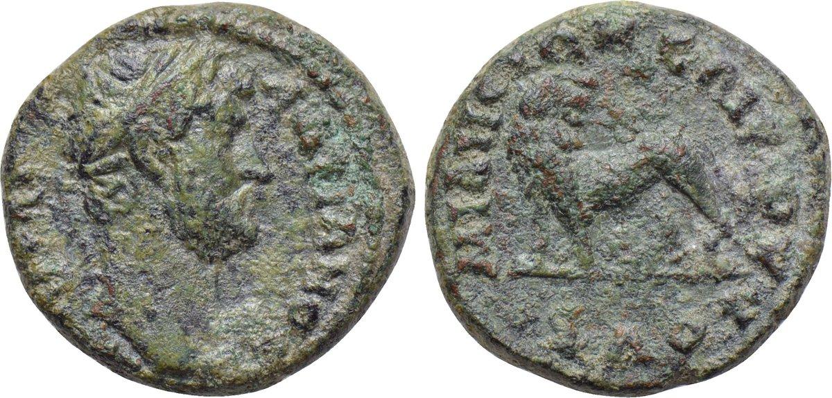 446 P Hadrian SNG Copenhagen 1016 .jpg