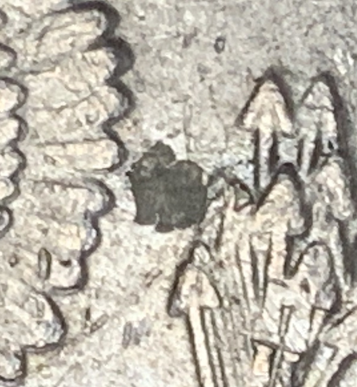 44749106-0364-4637-94F5-2308E79423D3.jpeg