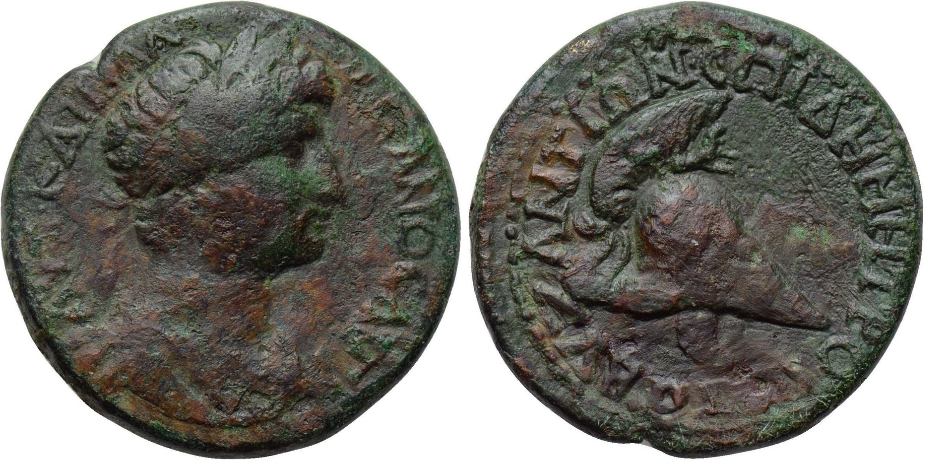 449 P Hadrian.JPG