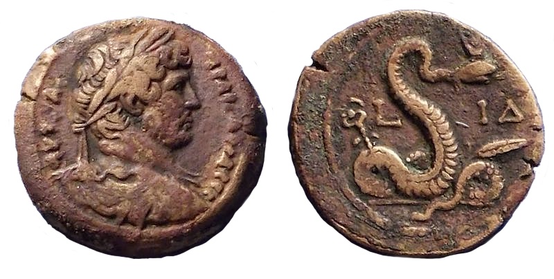 451 P Hadrian Emmett1111.jpg
