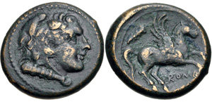 4530452.jpg