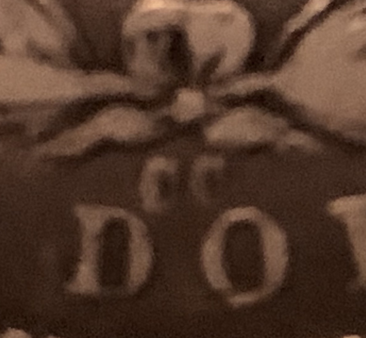 45492192-0128-4F21-9C6E-106AC2E694A1.jpeg