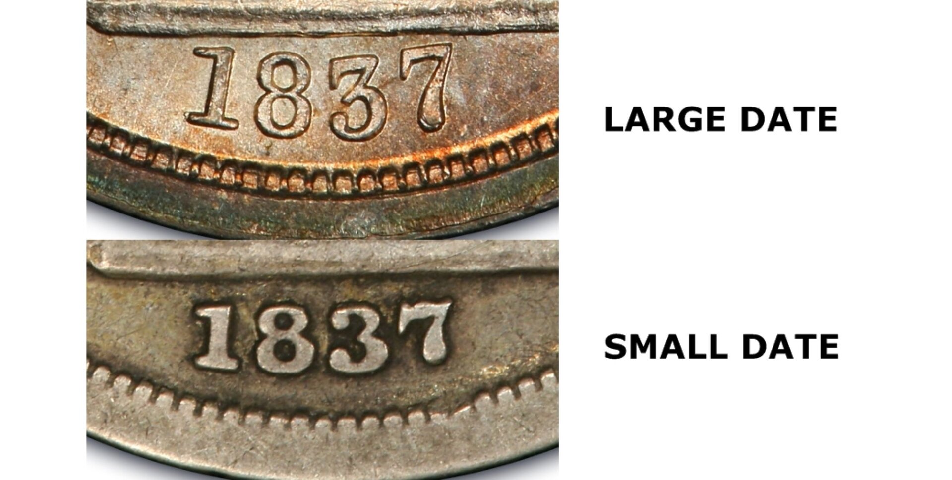 4561_37656006_2200.jpg