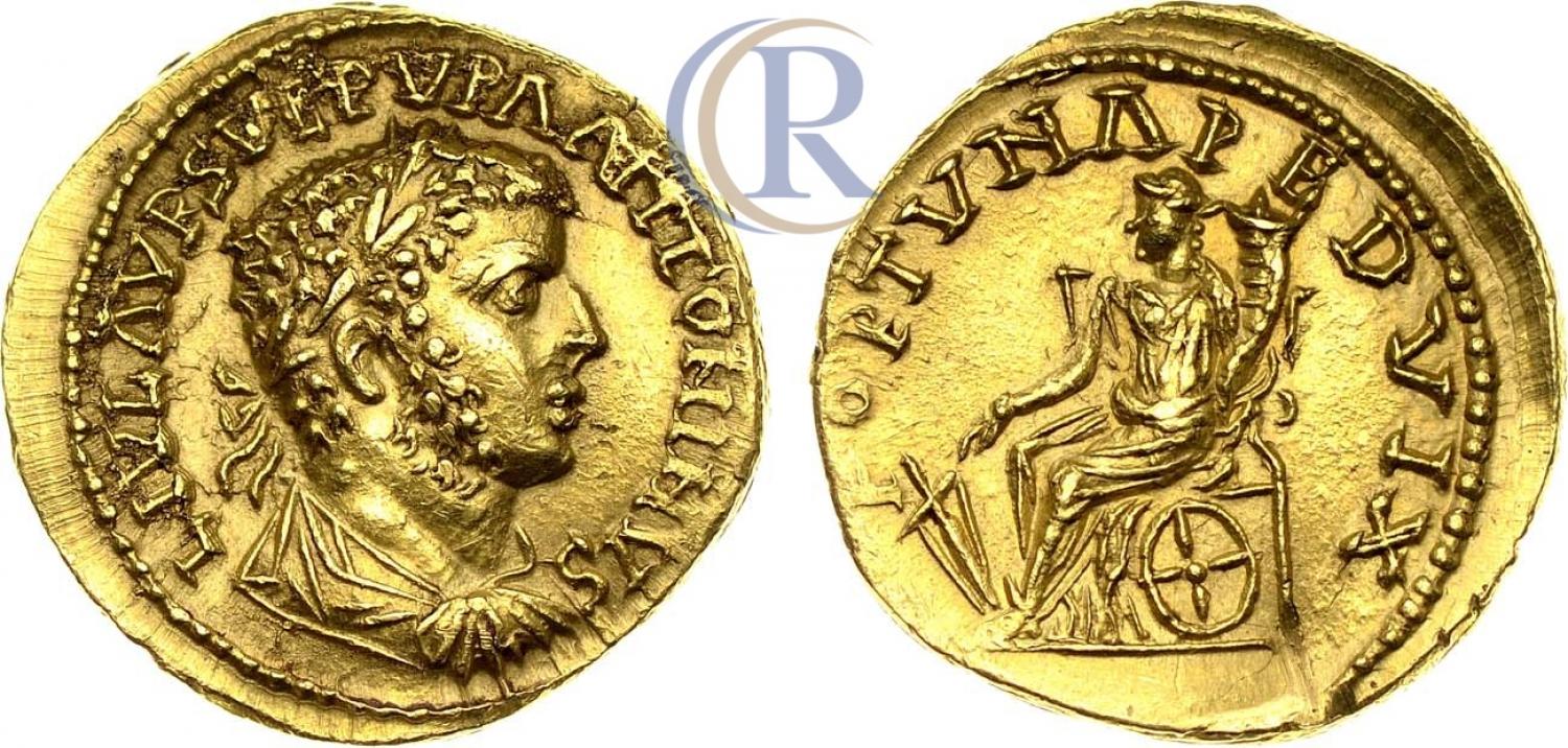 4587714l.jpg