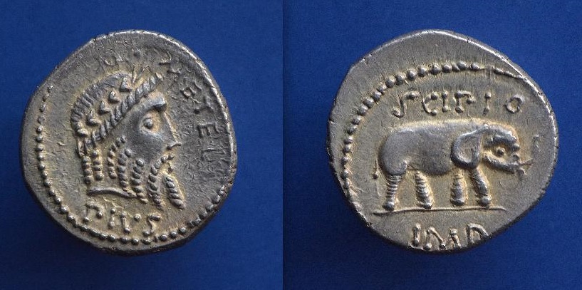 459-c.jpg
