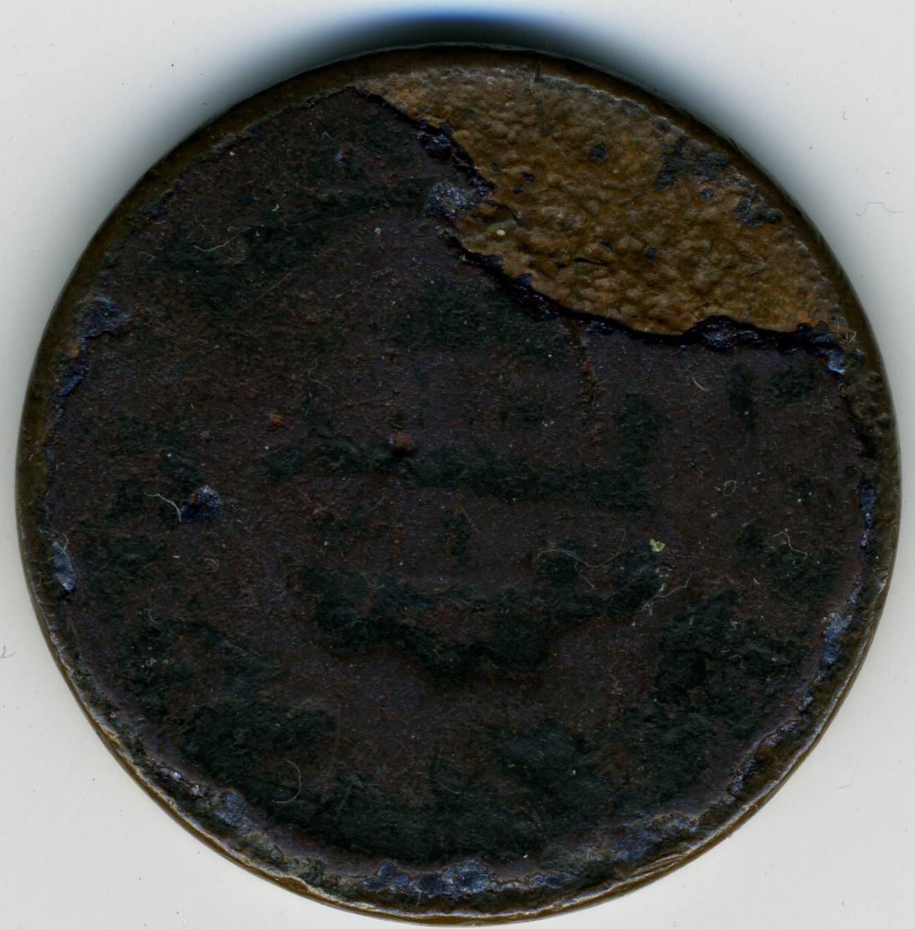 46 lam rev2433.jpg