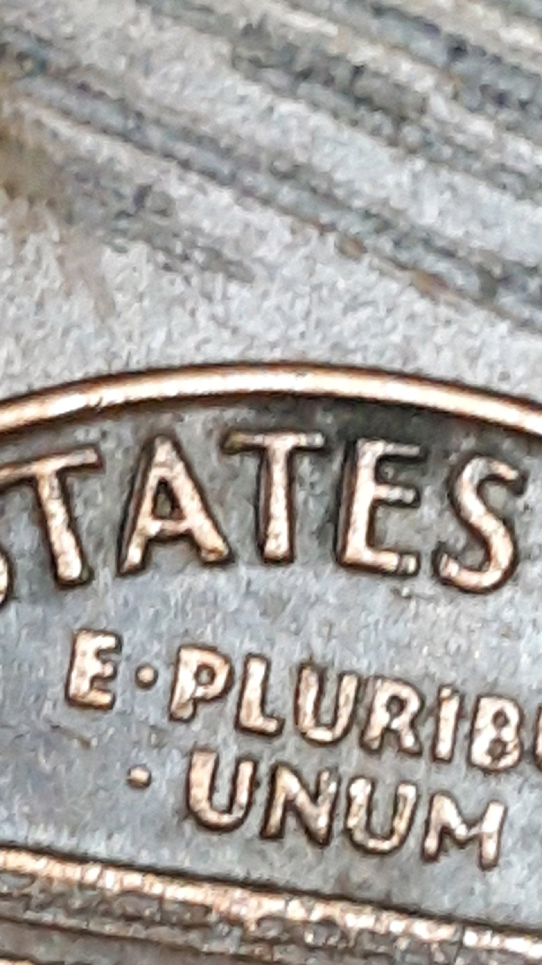 460.jpeg