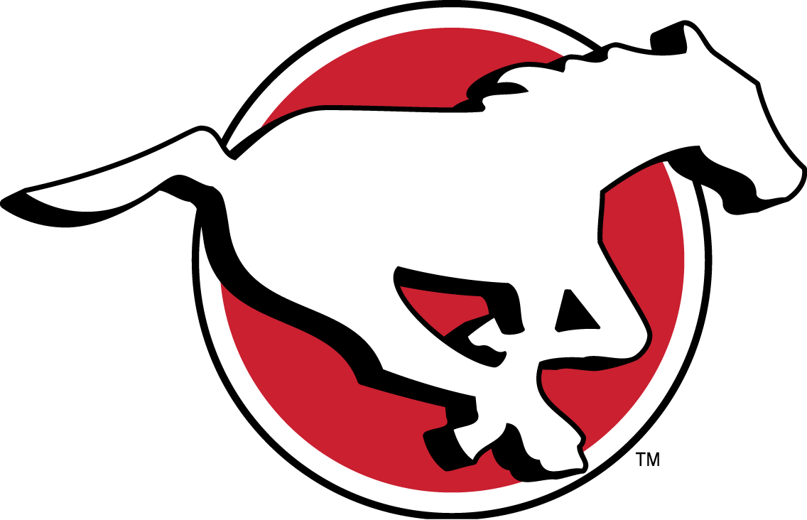 4656_calgary_stampeders-primary-2012.png