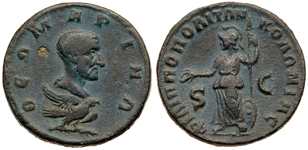4675067.jpg